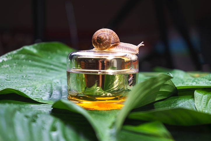 snail skincare