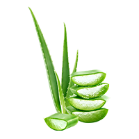 Aloe